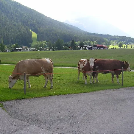 게스트하우스 Gaestehaus Bodnerlehen 3*