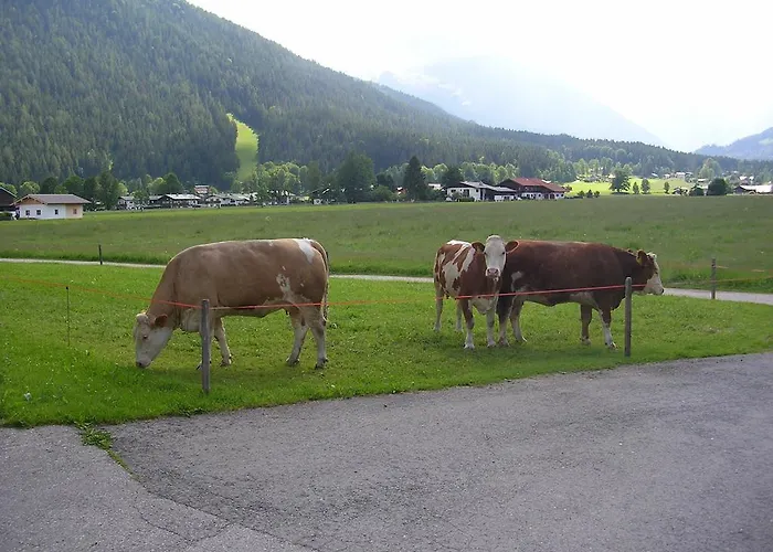 Konukevi Gaestehaus Bodnerlehen 3*